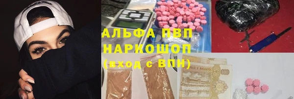 стаф Богданович