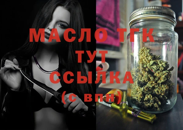 стаф Богданович
