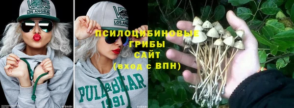 бошки Бородино