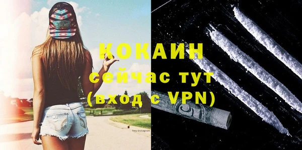 бошки Богородицк