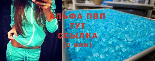 стаф Богданович